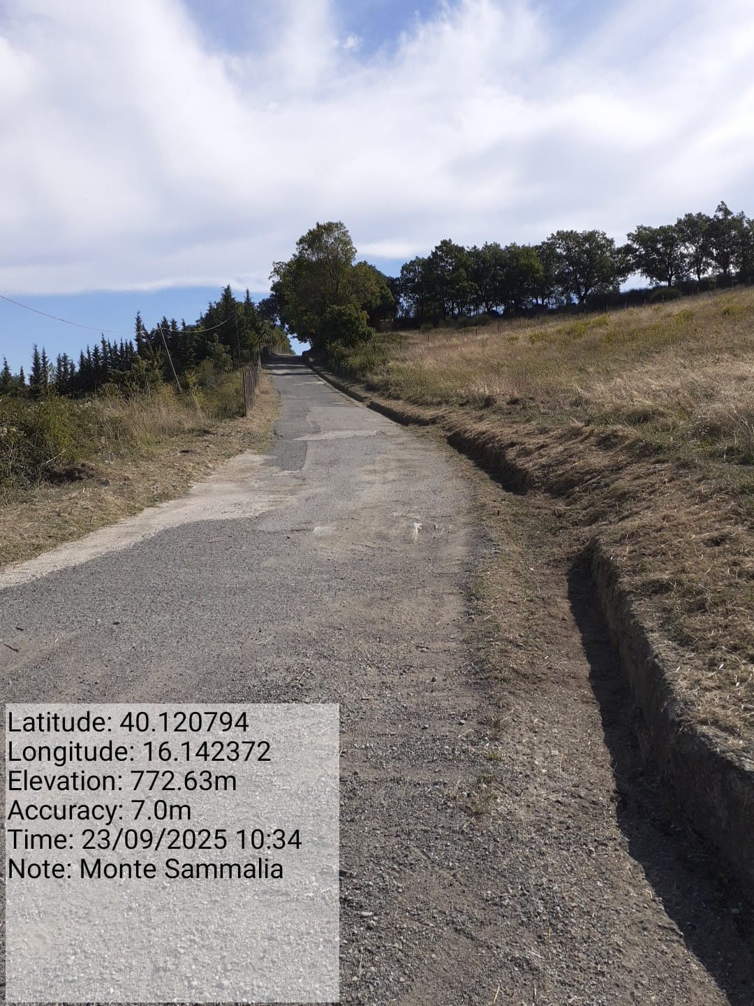 Galleria Fotografica Immagine