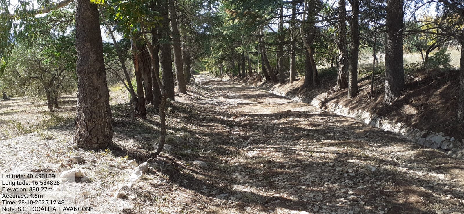 Galleria Fotografica Immagine