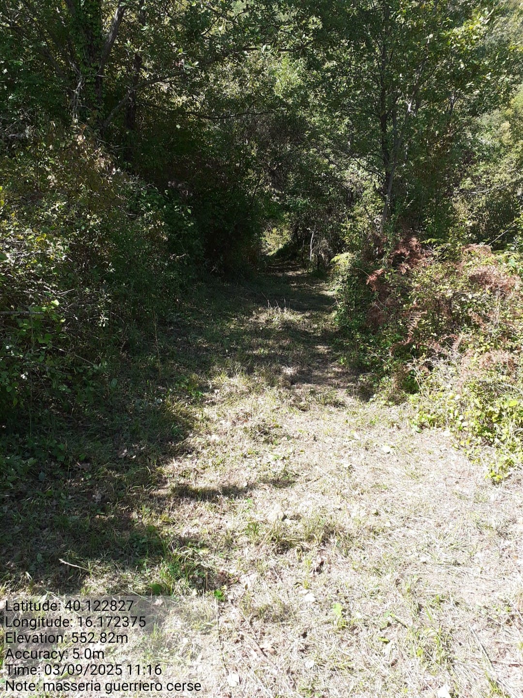 Galleria Fotografica Immagine