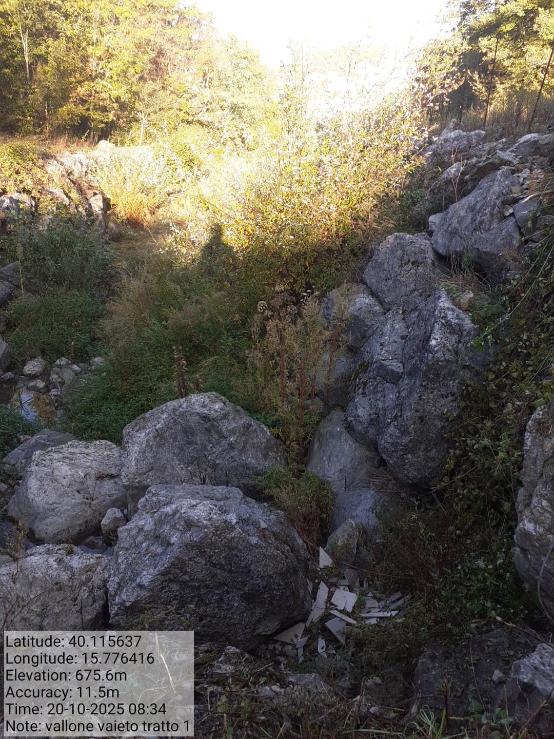 Galleria Fotografica Immagine