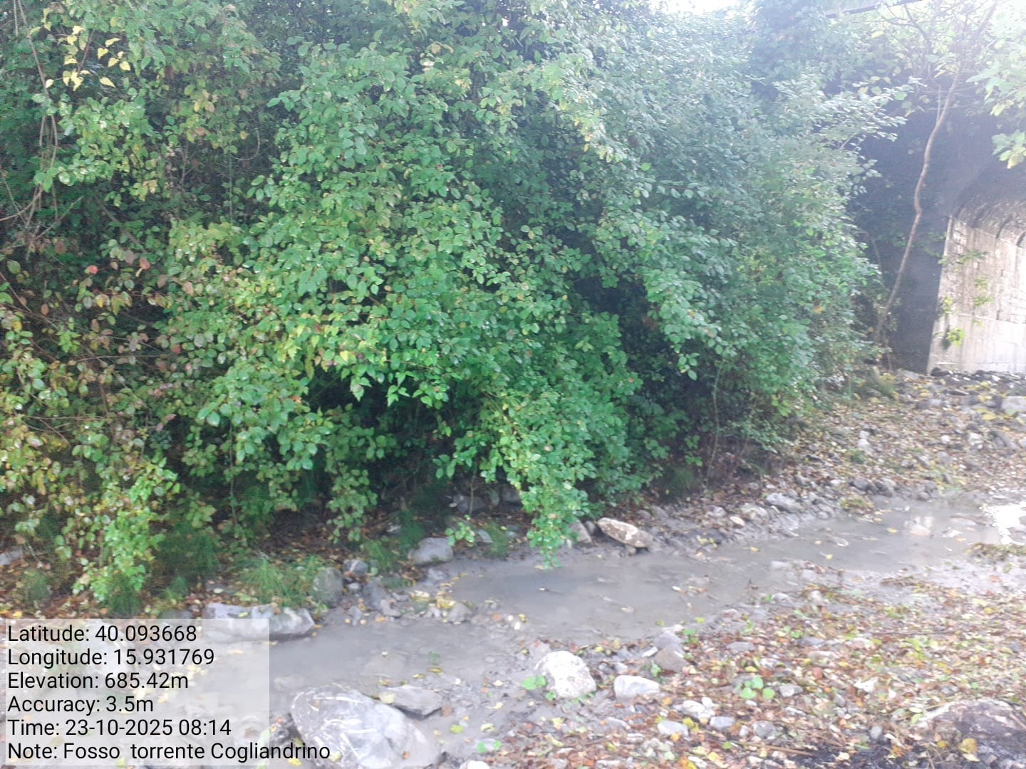 Galleria Fotografica Immagine