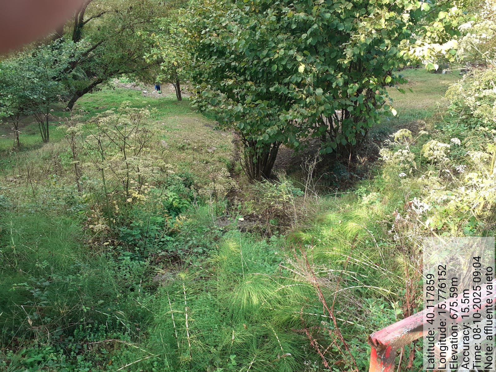 Galleria Fotografica Immagine