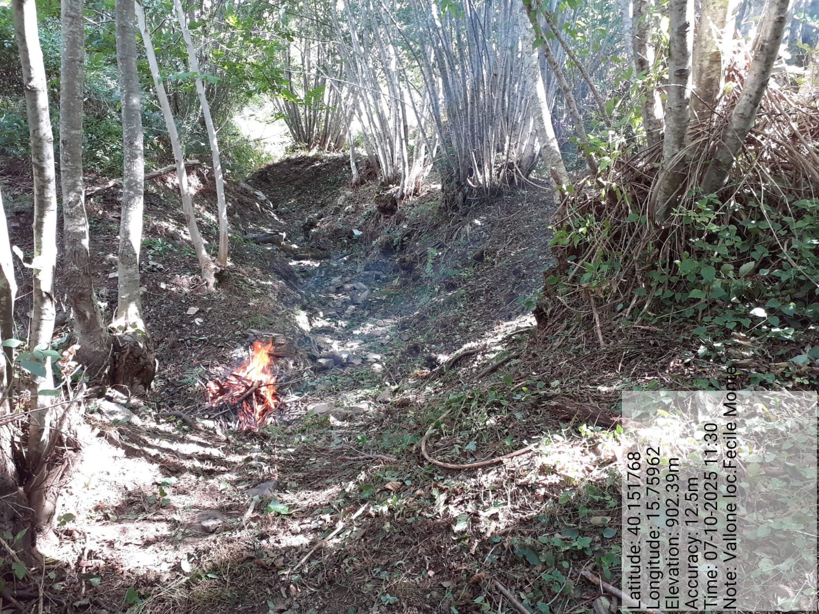 Galleria Fotografica Immagine