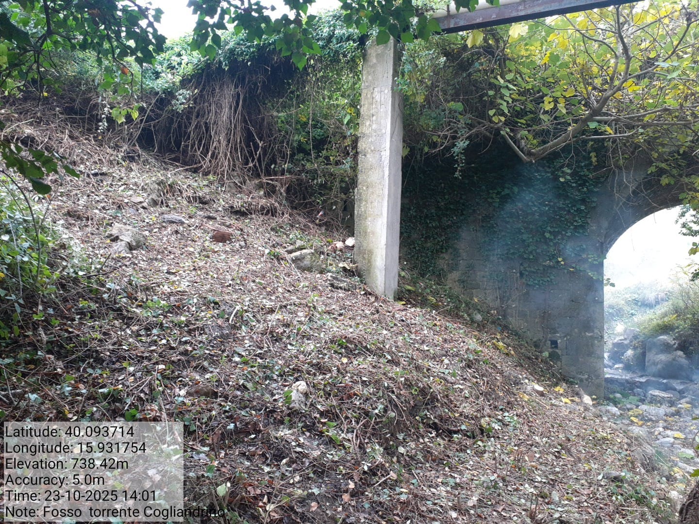 Galleria Fotografica Immagine