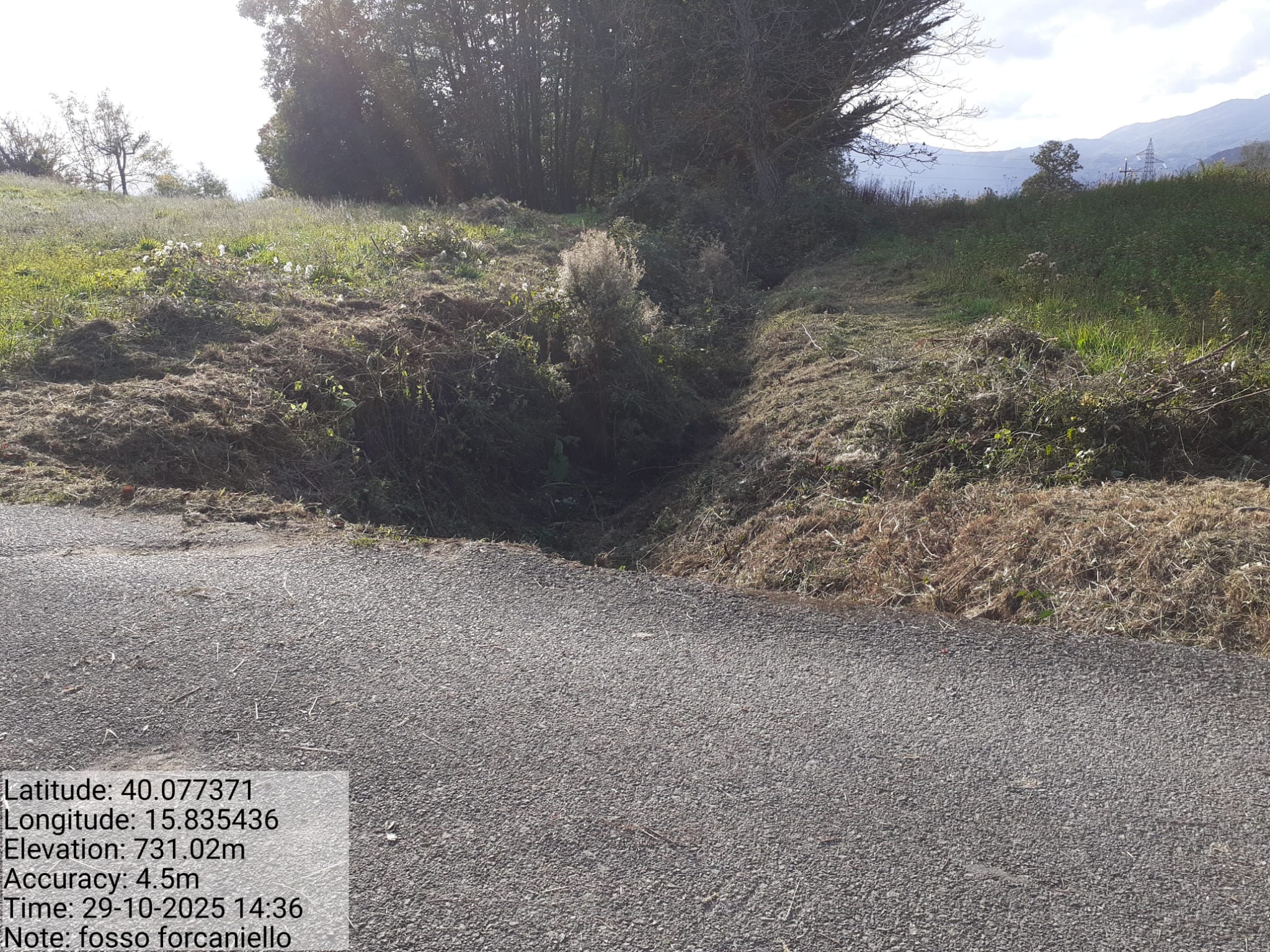 Galleria Fotografica Immagine