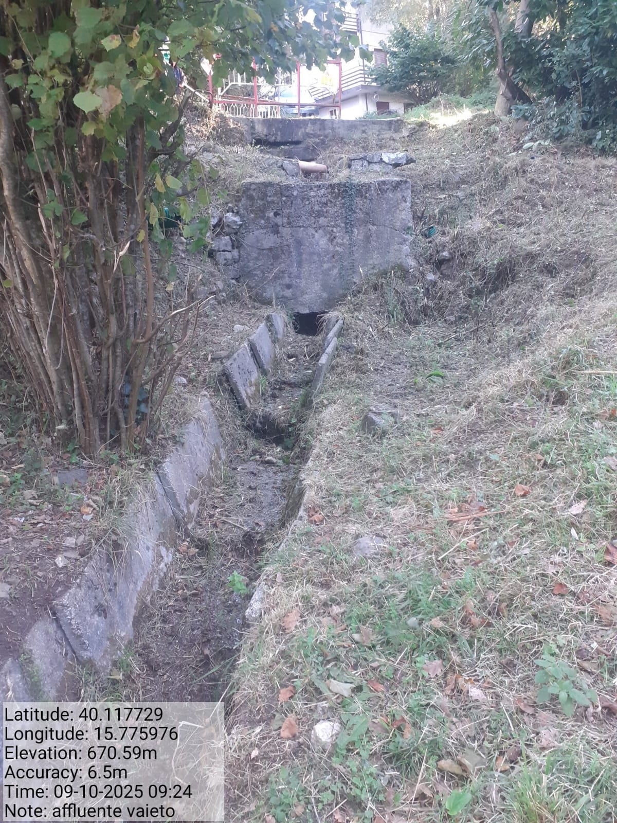 Galleria Fotografica Immagine