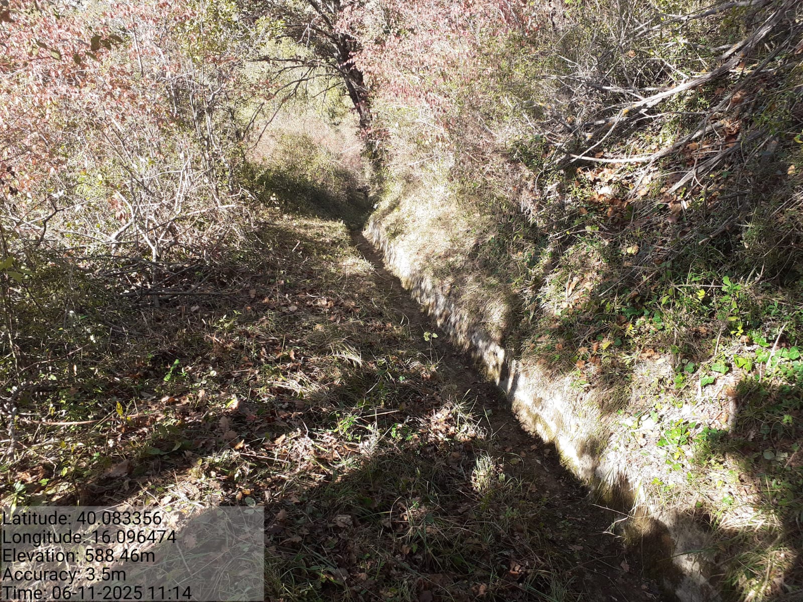 Galleria Fotografica Immagine