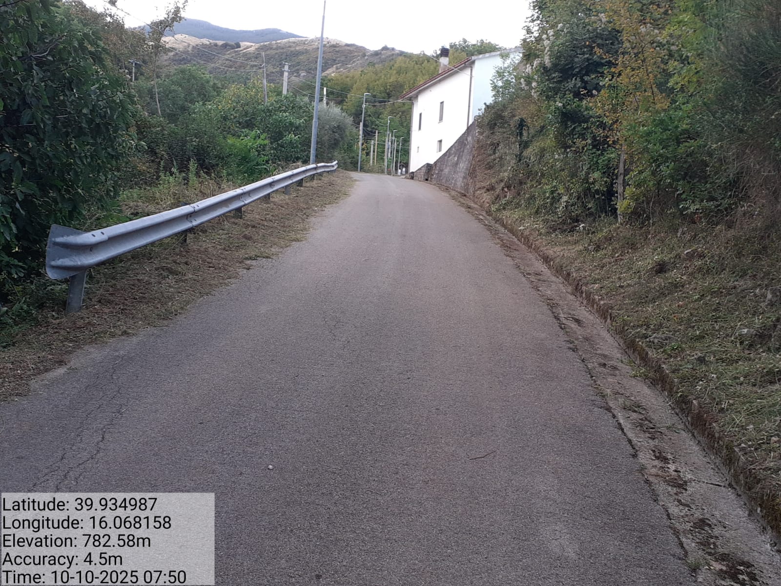 Galleria Fotografica Immagine