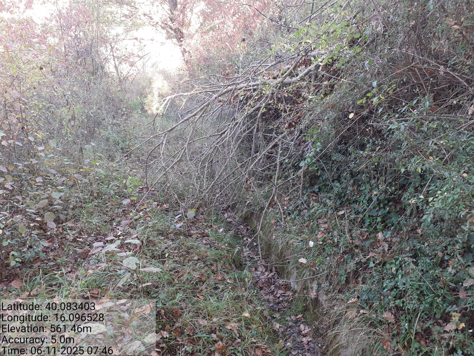 Galleria Fotografica Immagine