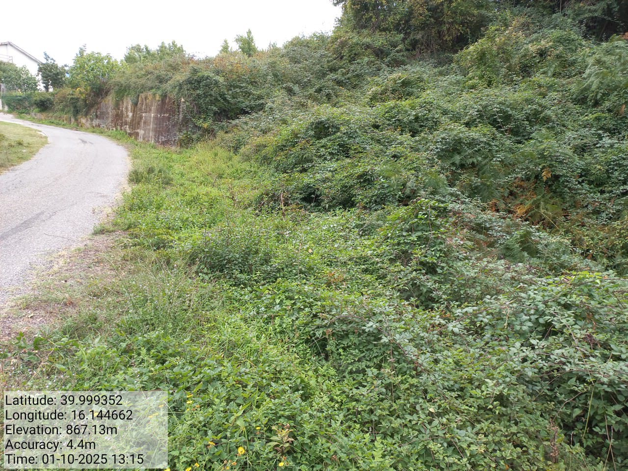 Galleria Fotografica Immagine