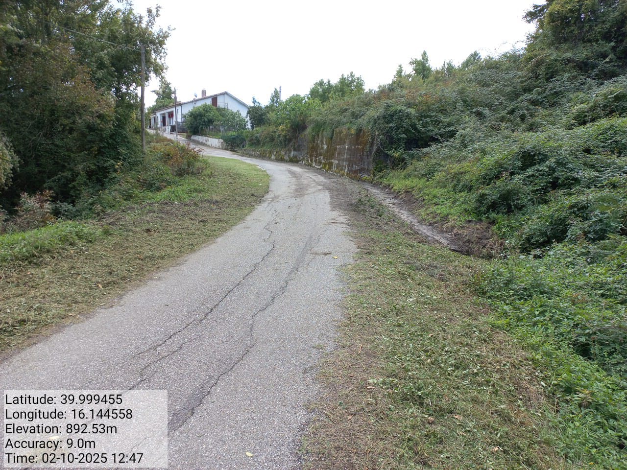 Galleria Fotografica Immagine