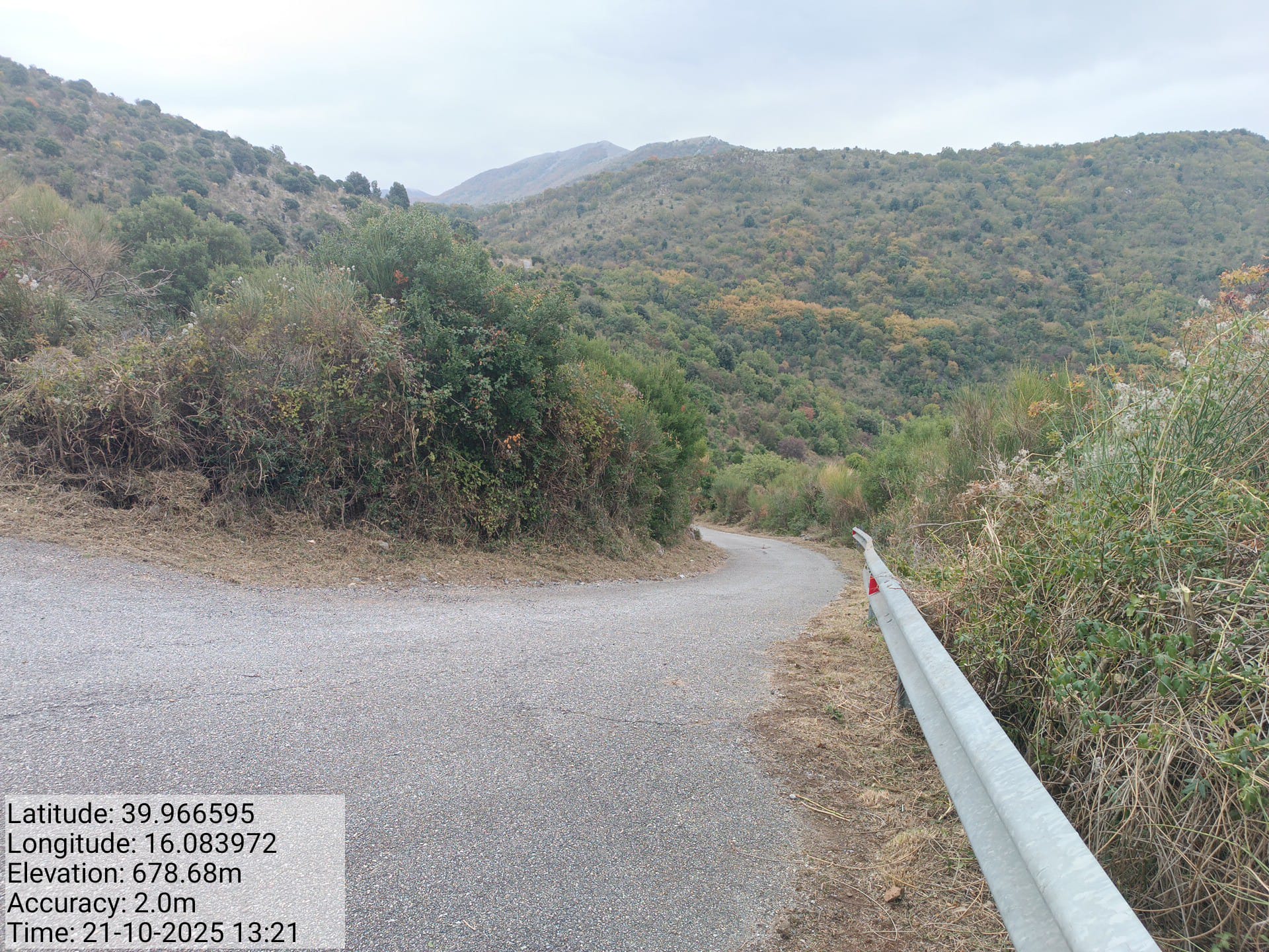 Galleria Fotografica Immagine