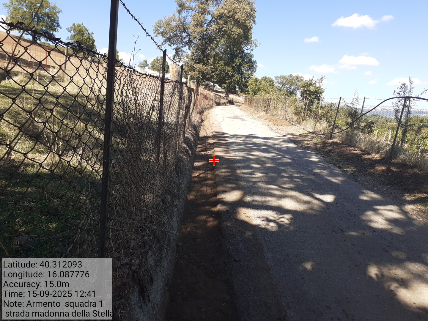 Galleria Fotografica Immagine