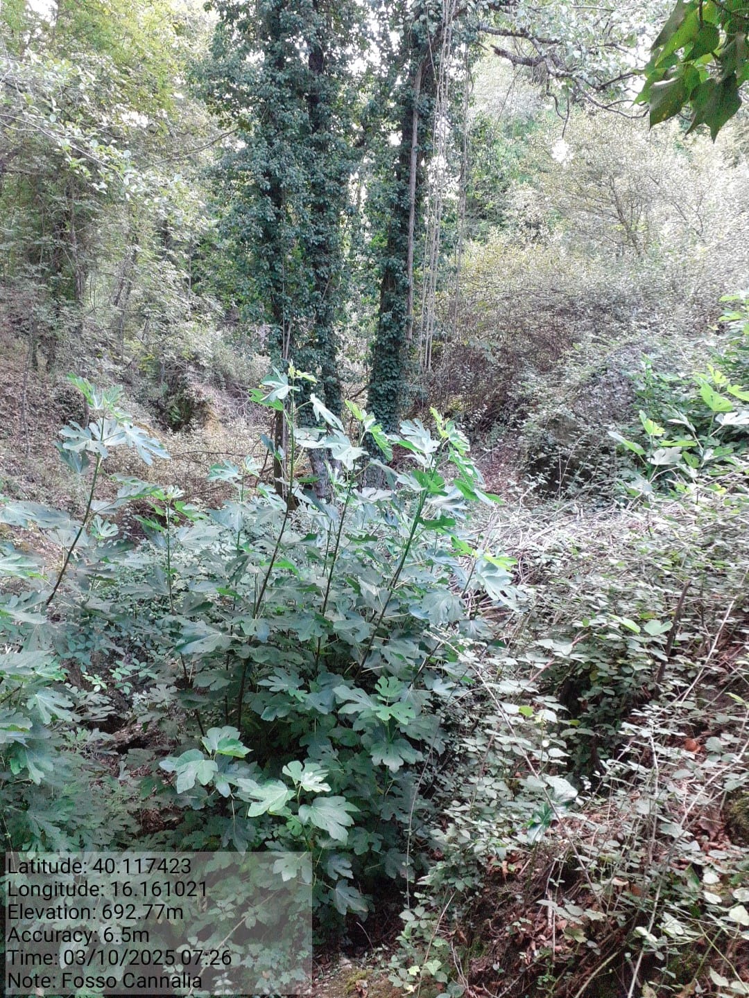 Galleria Fotografica Immagine