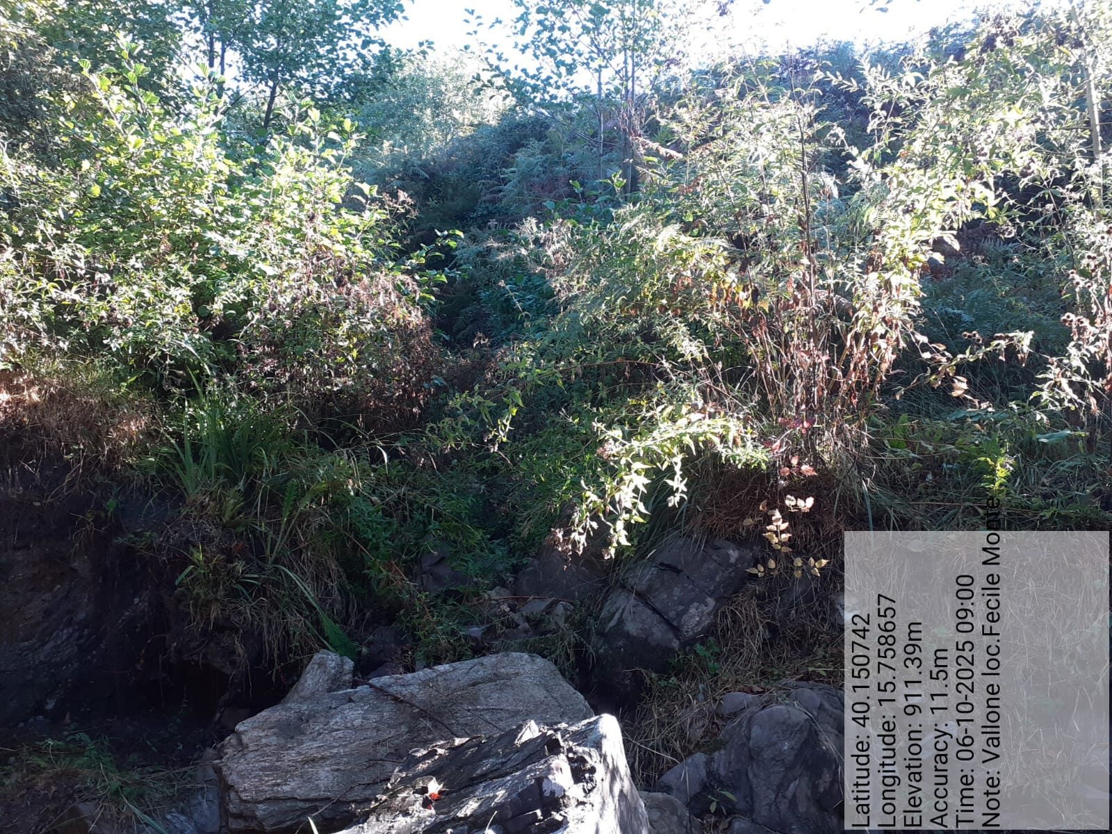 Galleria Fotografica Immagine