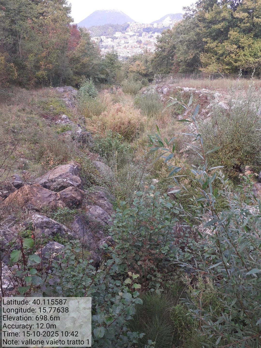 Galleria Fotografica Immagine