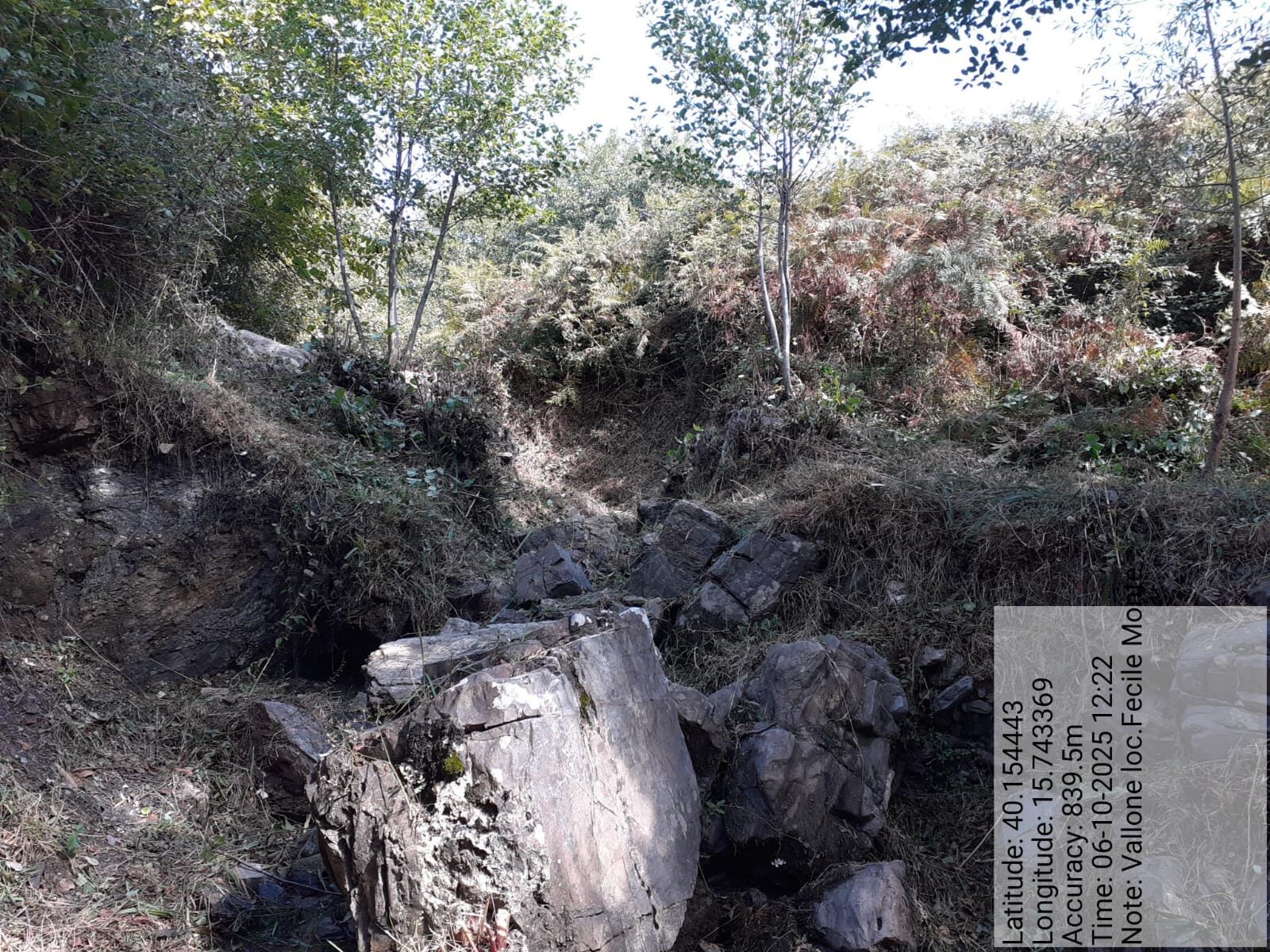 Galleria Fotografica Immagine