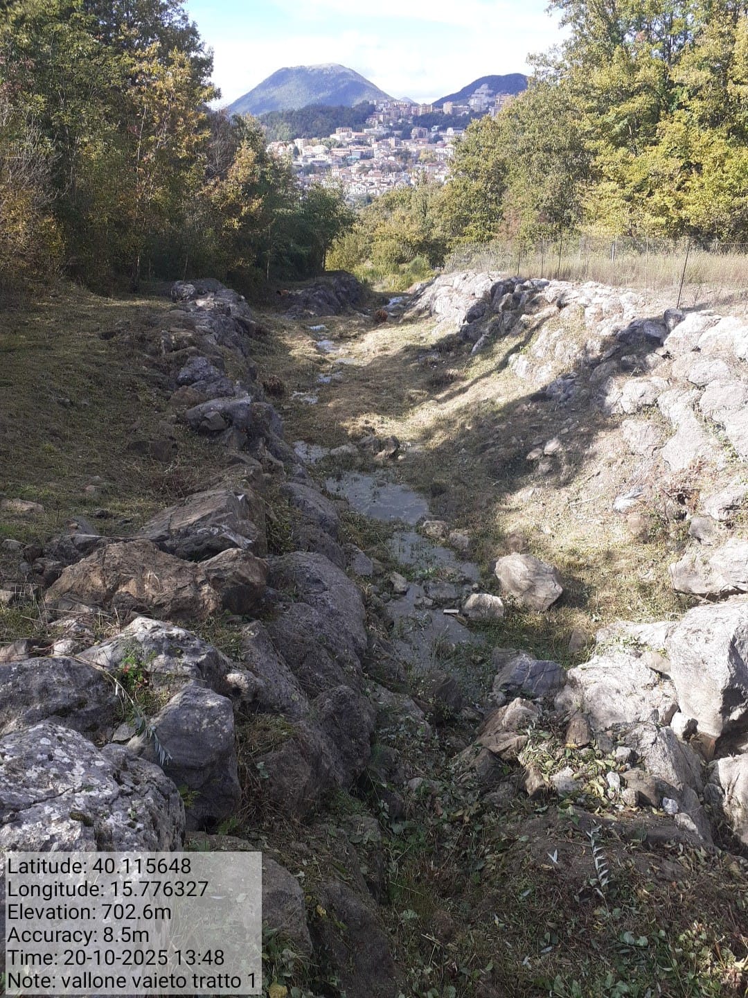 Galleria Fotografica Immagine