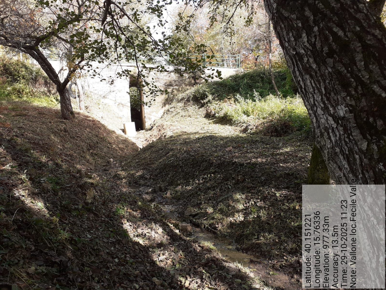 Galleria Fotografica Immagine