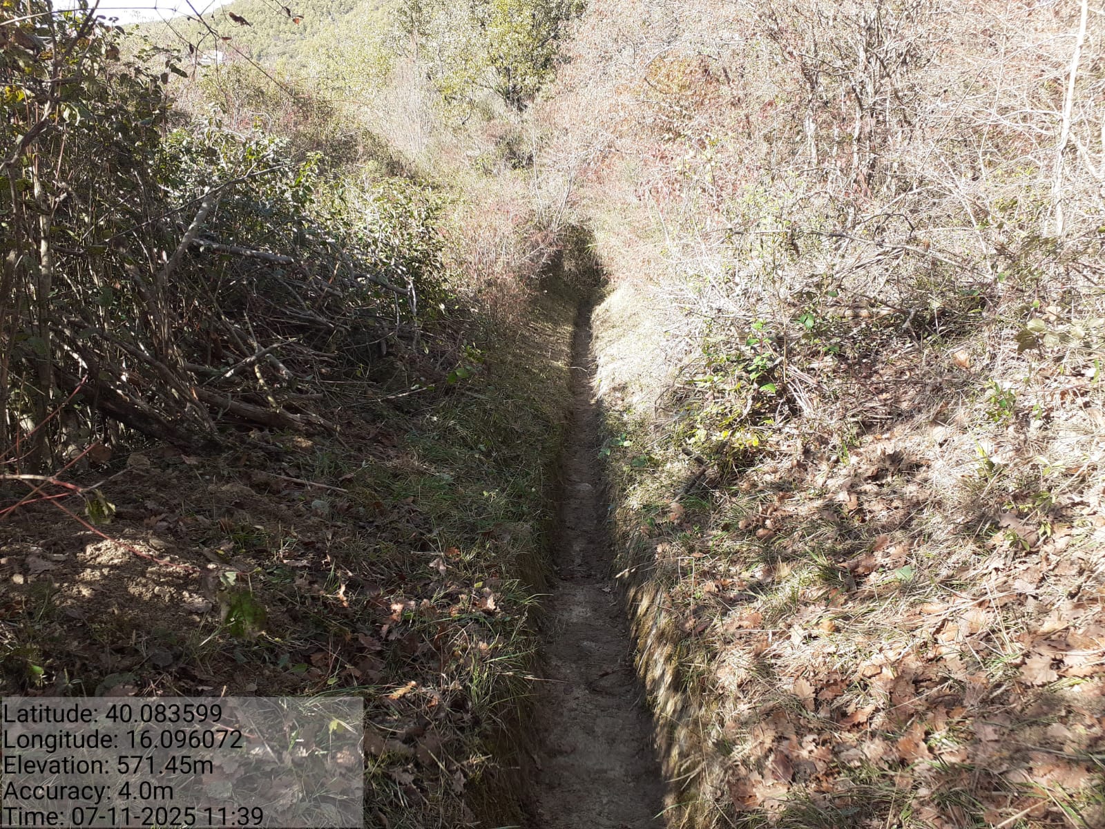 Galleria Fotografica Immagine