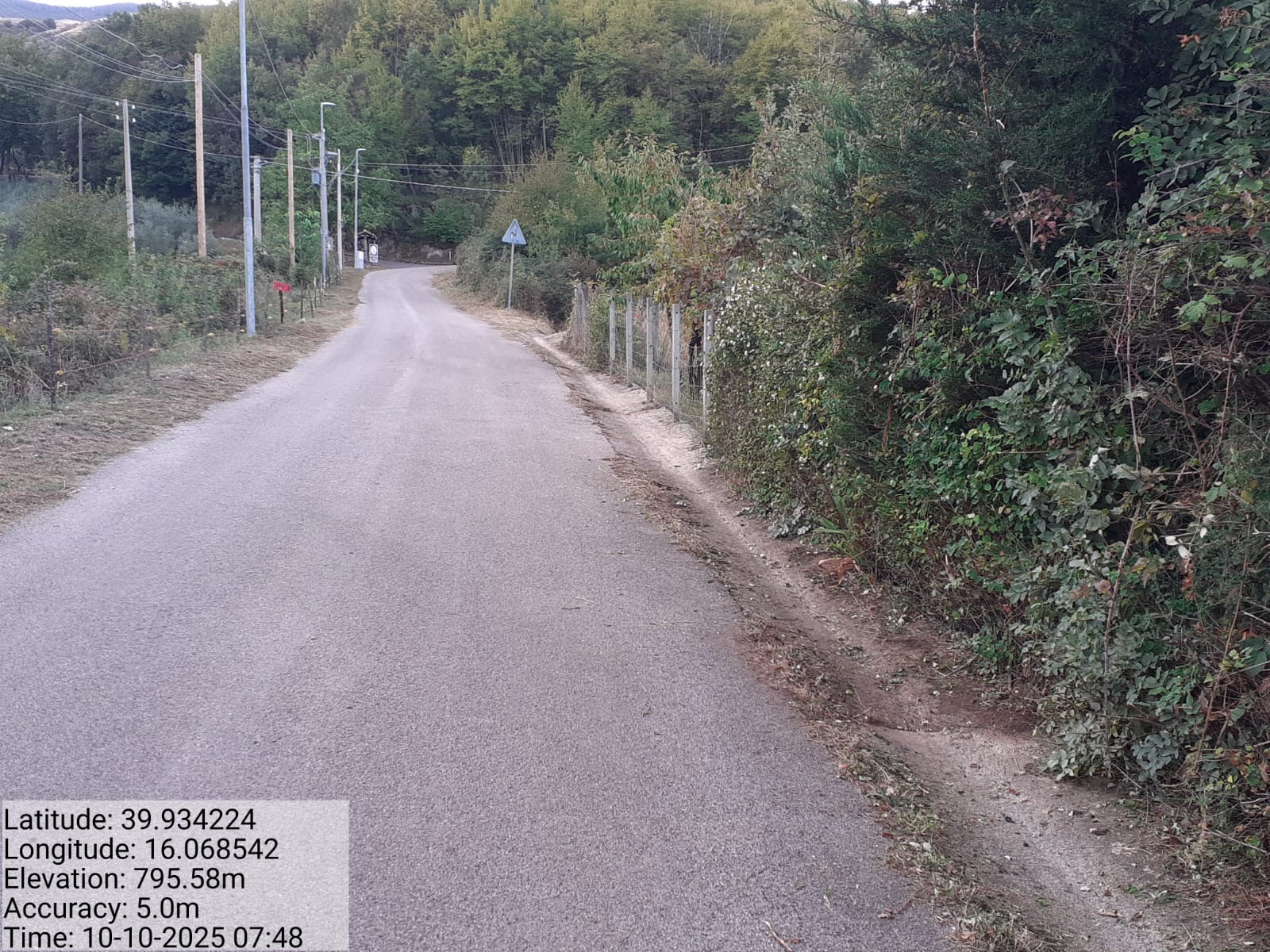 Galleria Fotografica Immagine