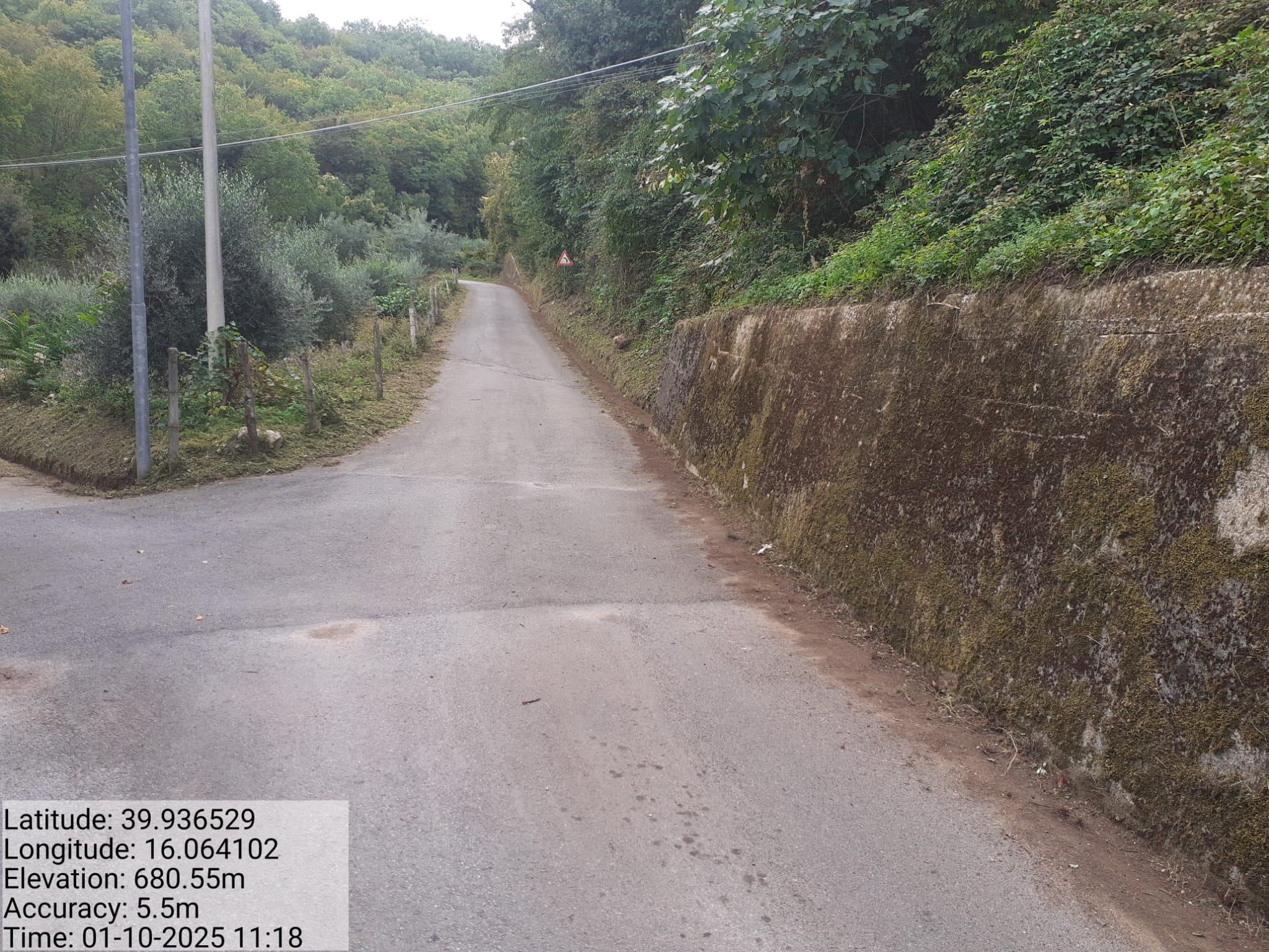 Galleria Fotografica Immagine