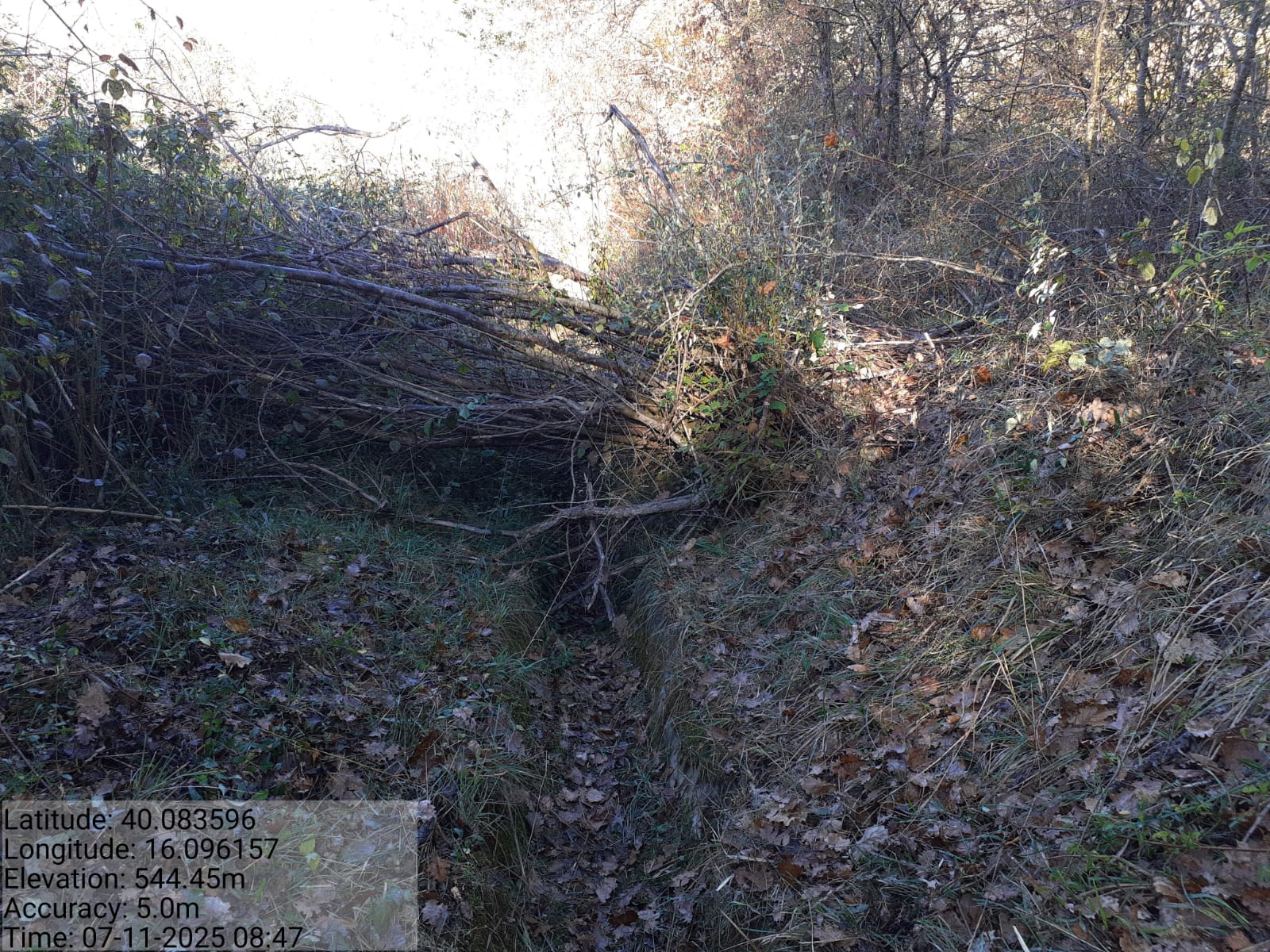 Galleria Fotografica Immagine