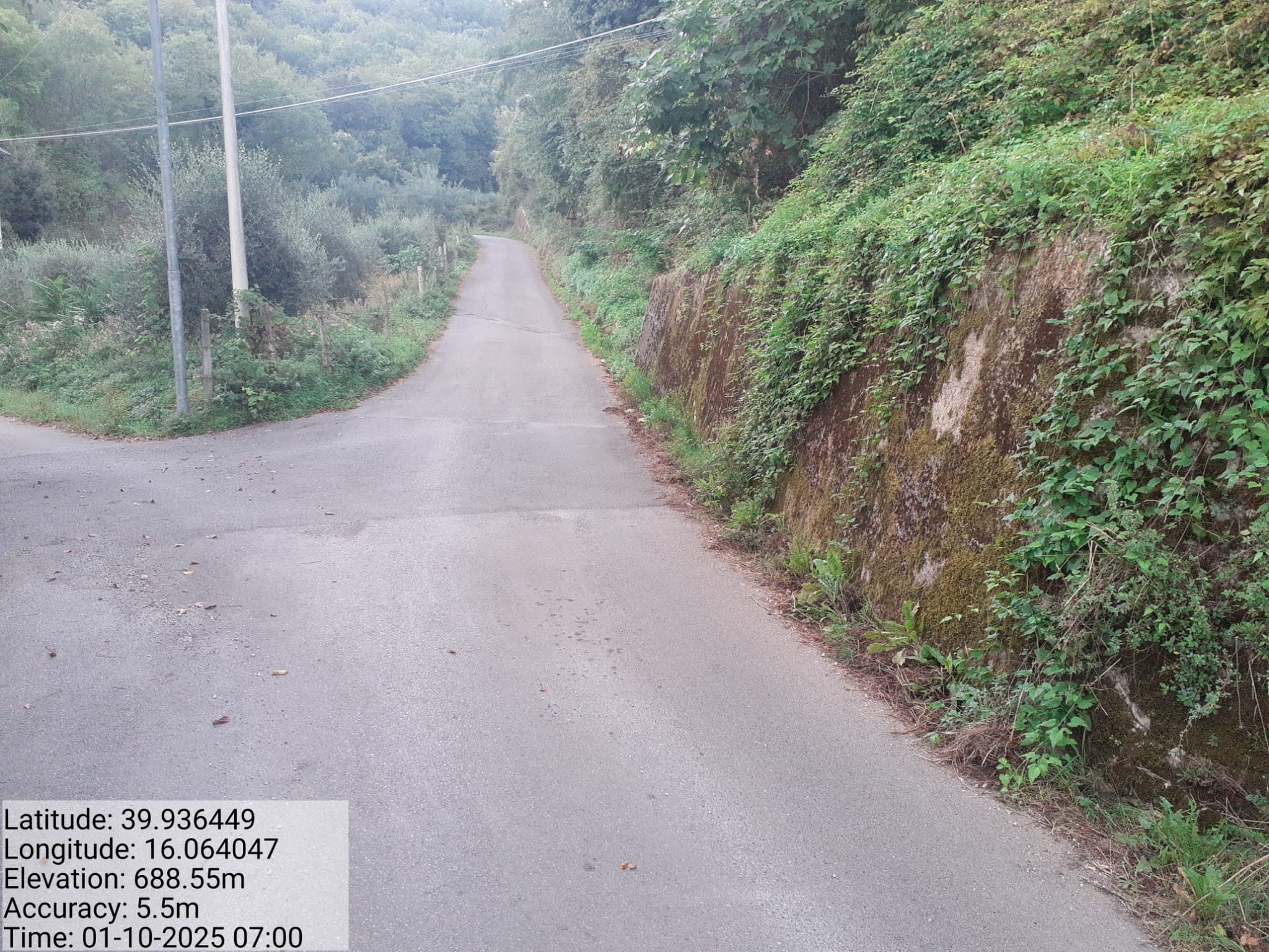 Galleria Fotografica Immagine