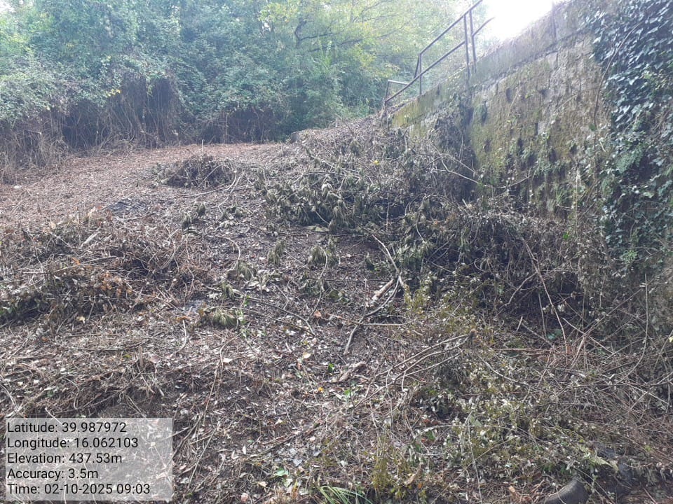 Galleria Fotografica Immagine