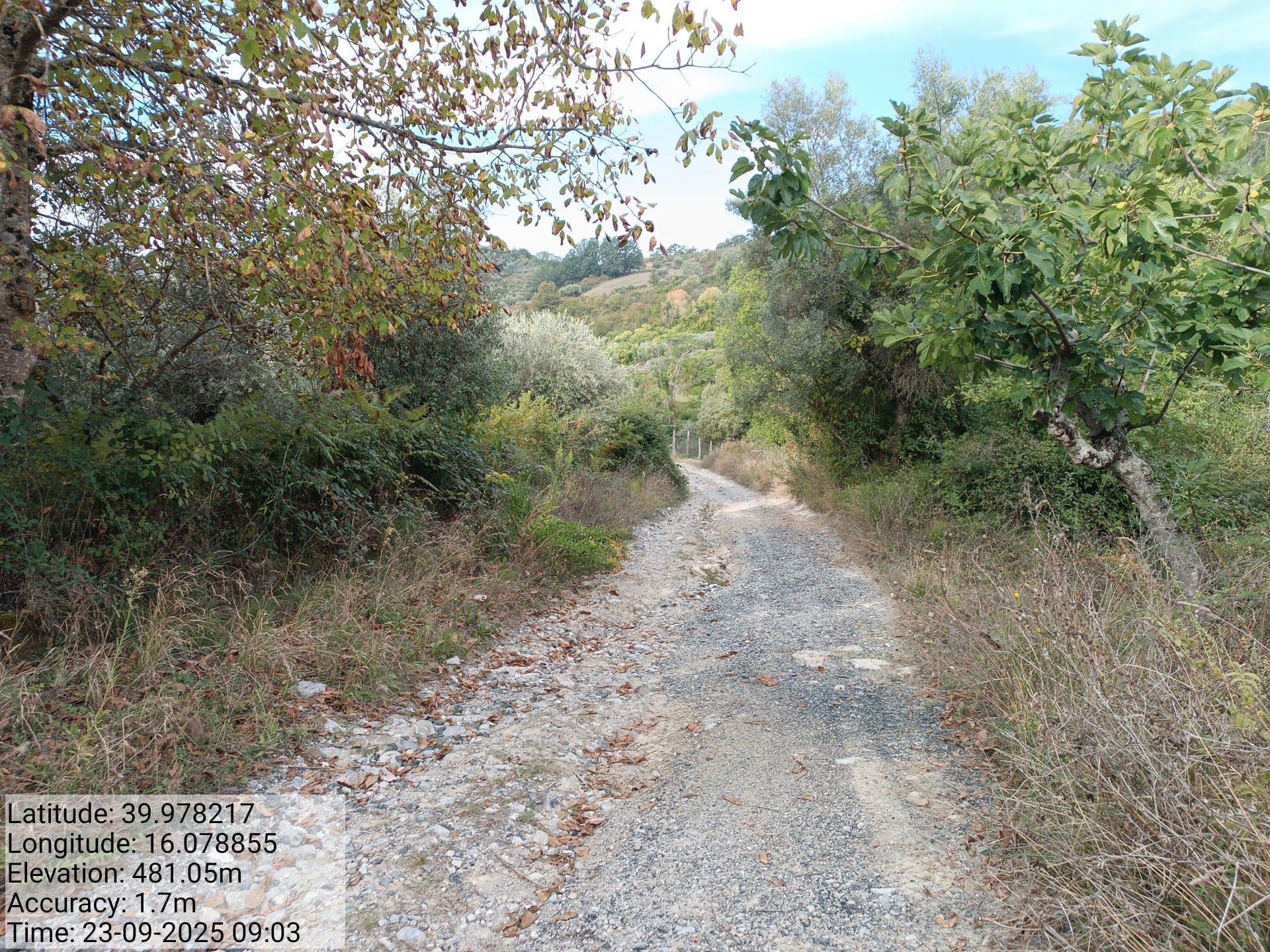 Galleria Fotografica Immagine