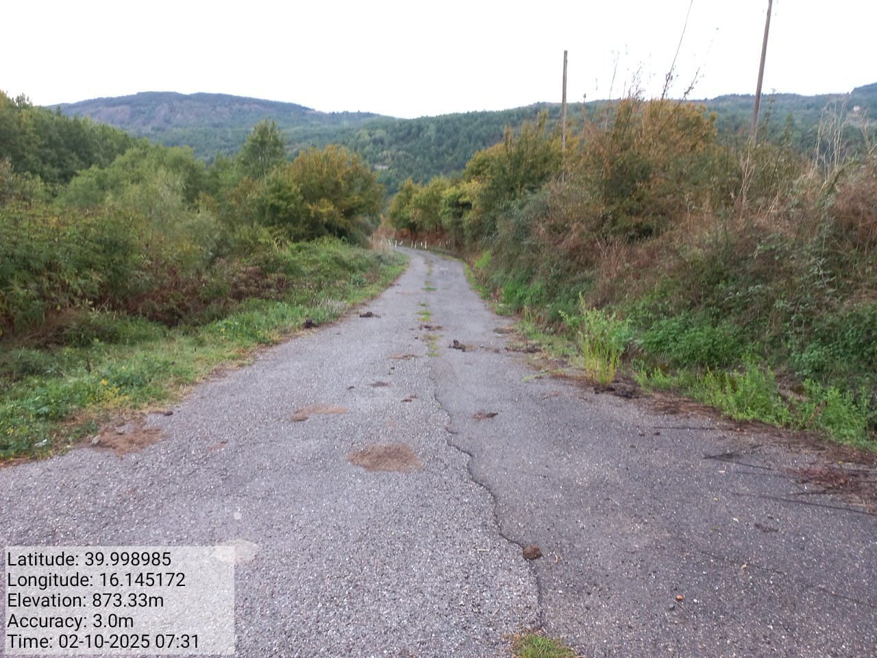 Galleria Fotografica Immagine