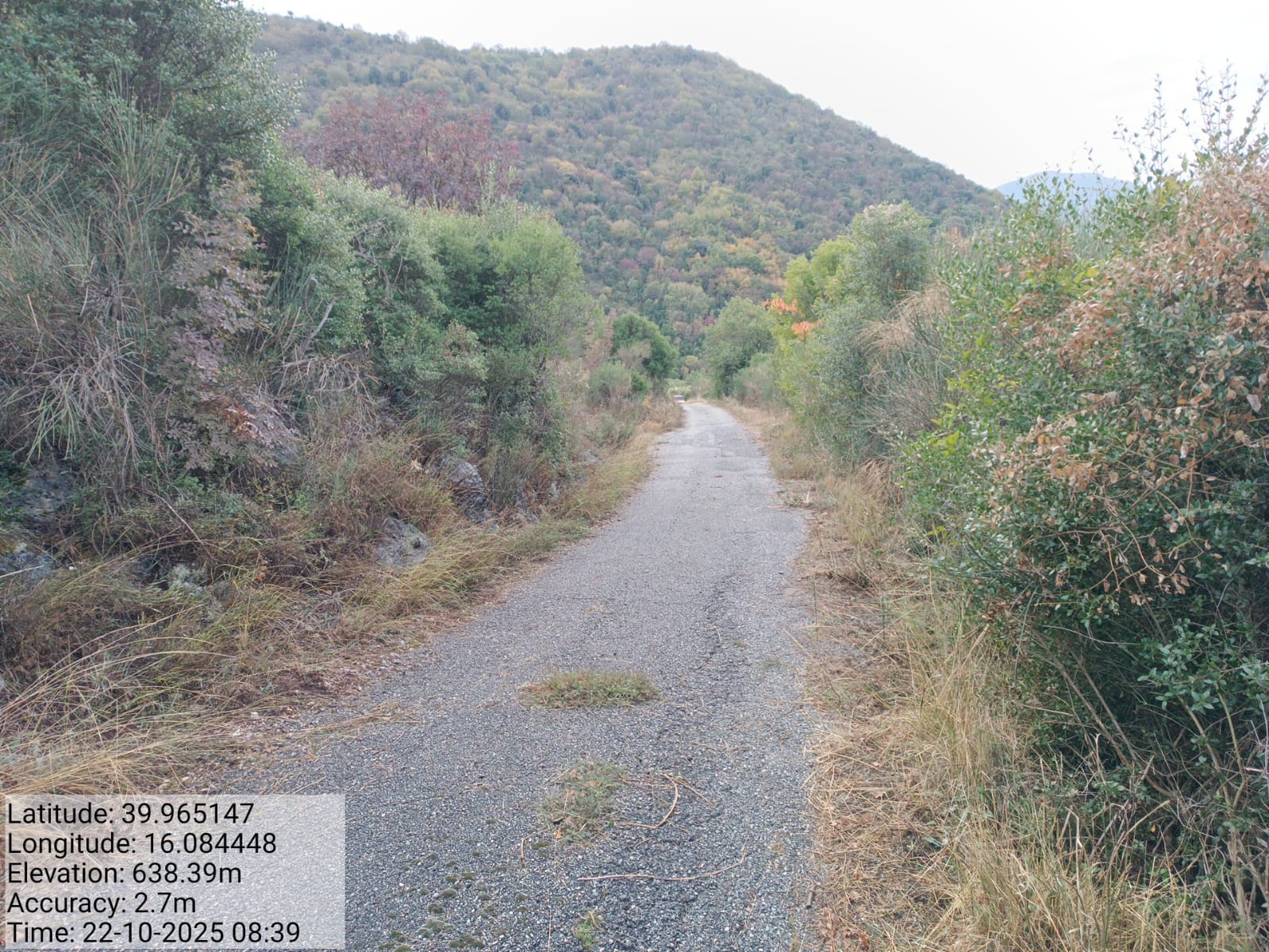 Galleria Fotografica Immagine