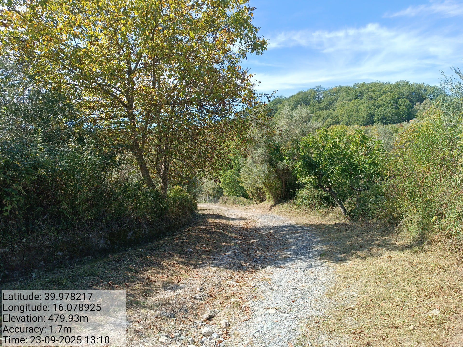 Galleria Fotografica Immagine