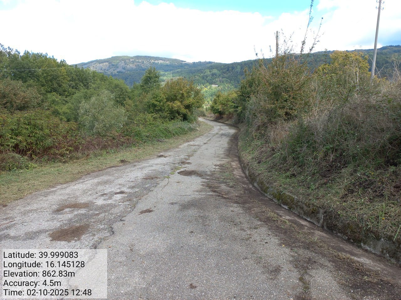 Galleria Fotografica Immagine