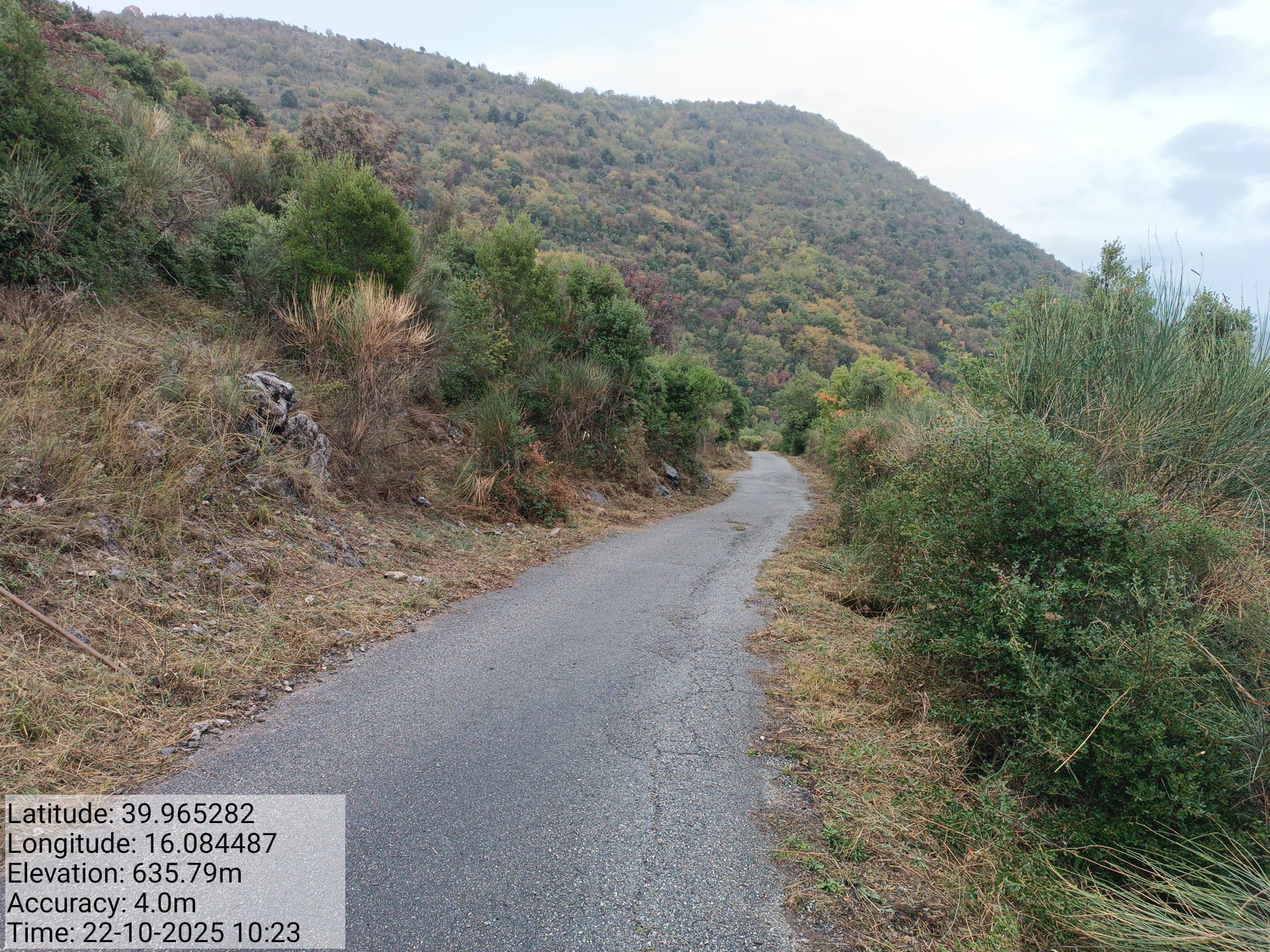 Galleria Fotografica Immagine