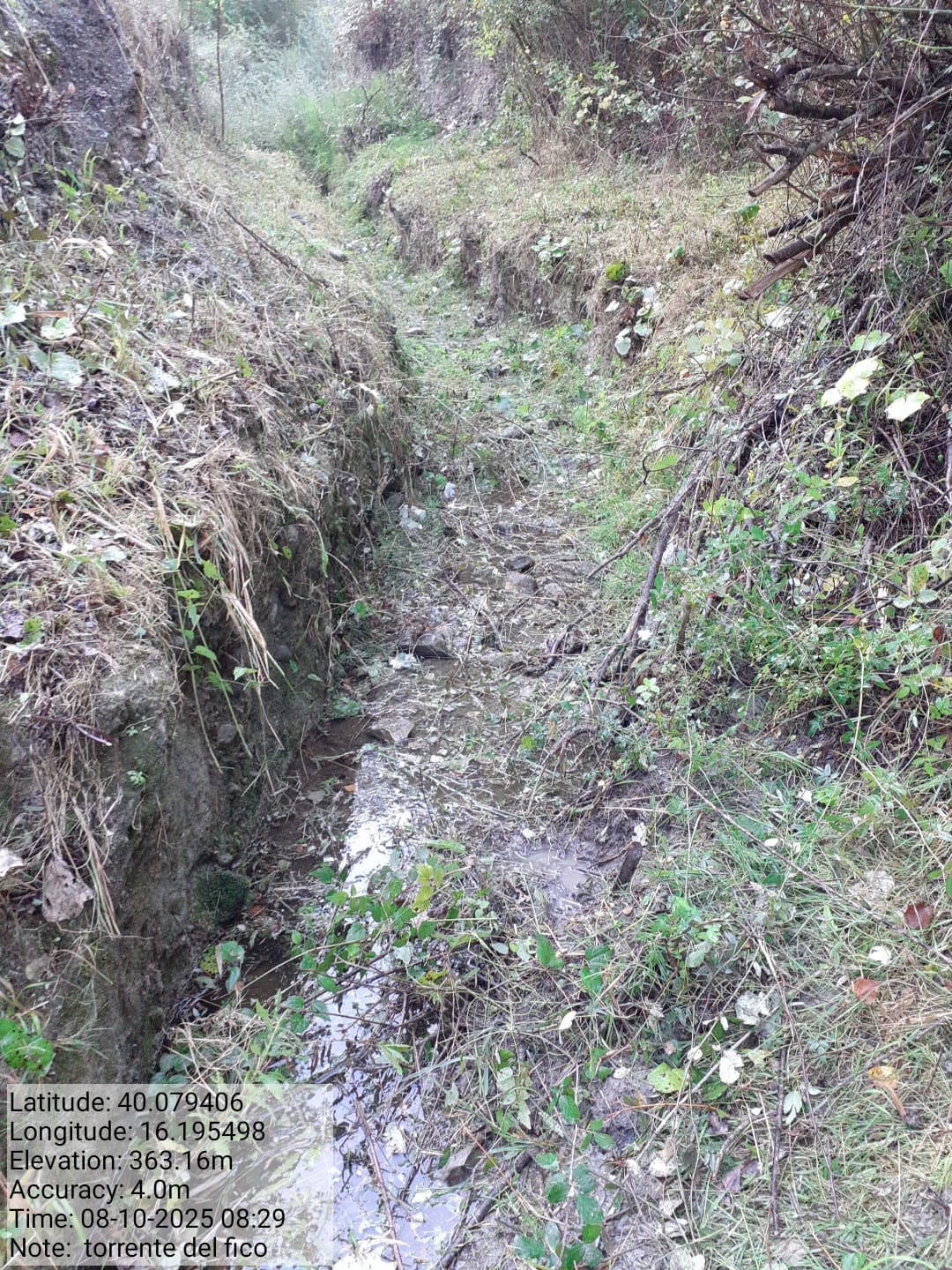 Galleria Fotografica Immagine