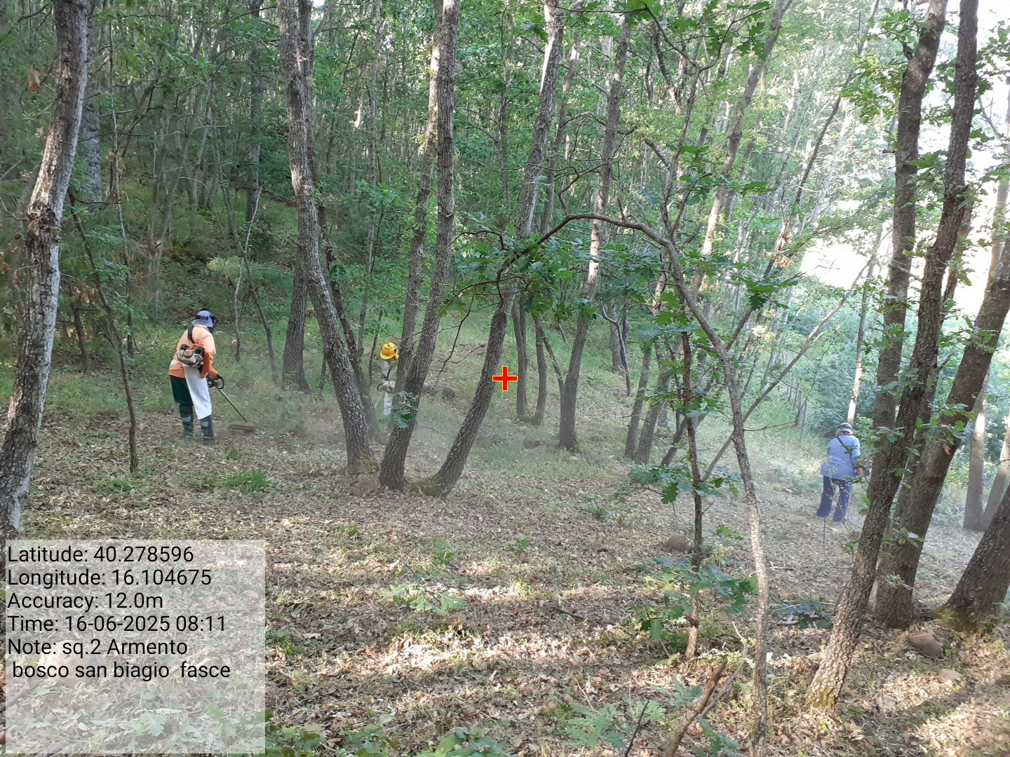 Galleria Fotografica Immagine