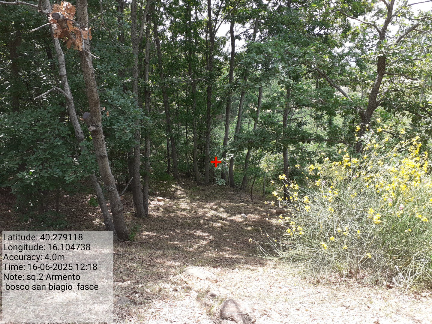 Galleria Fotografica Immagine