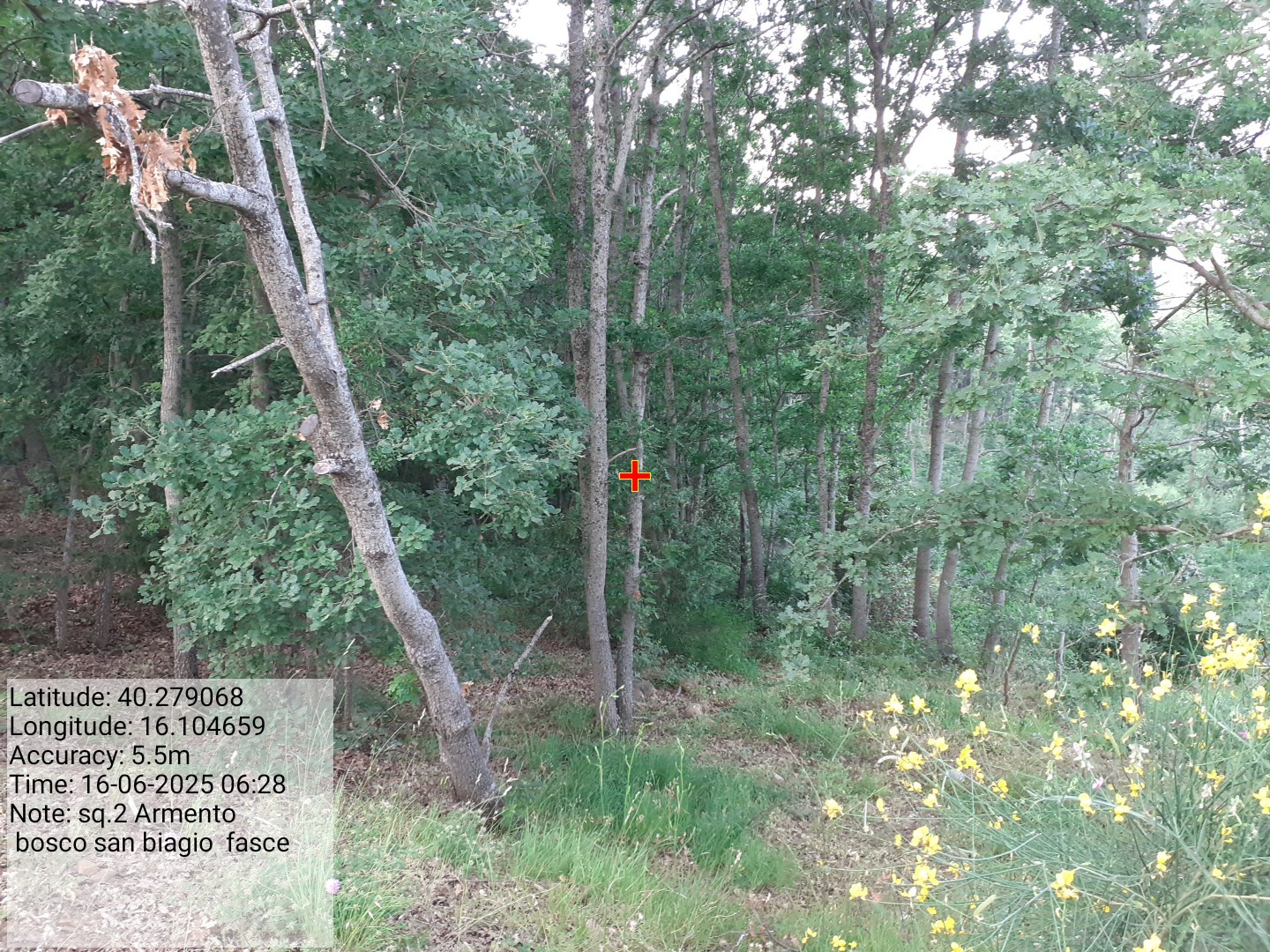 Galleria Fotografica Immagine