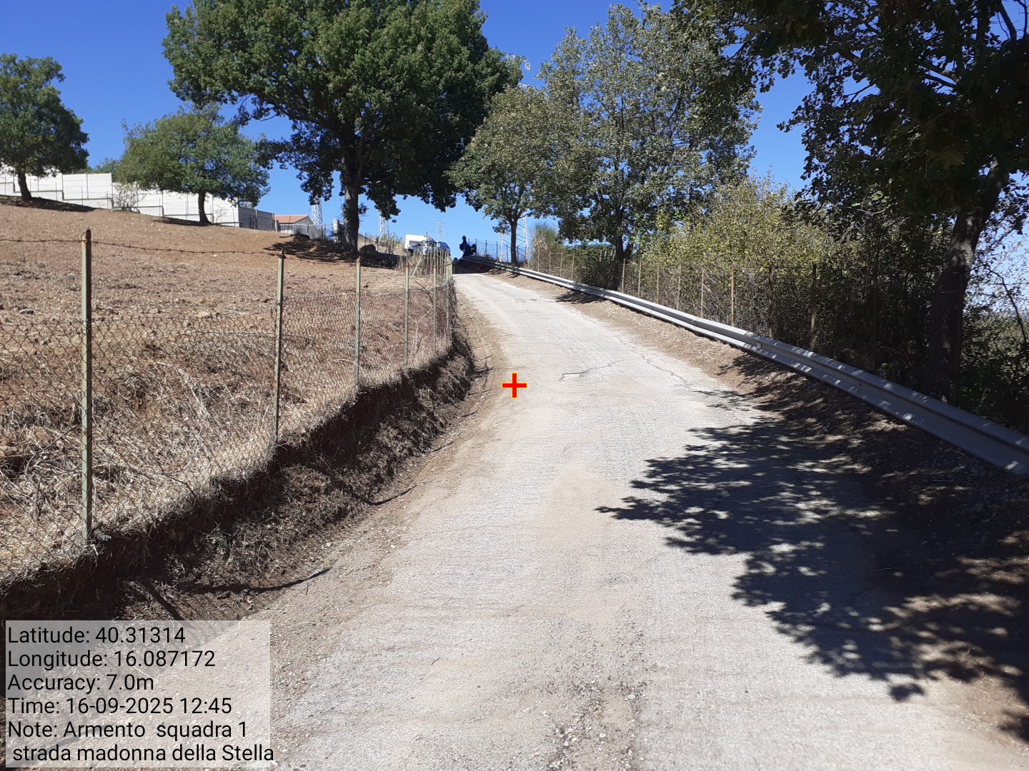 Galleria Fotografica Immagine