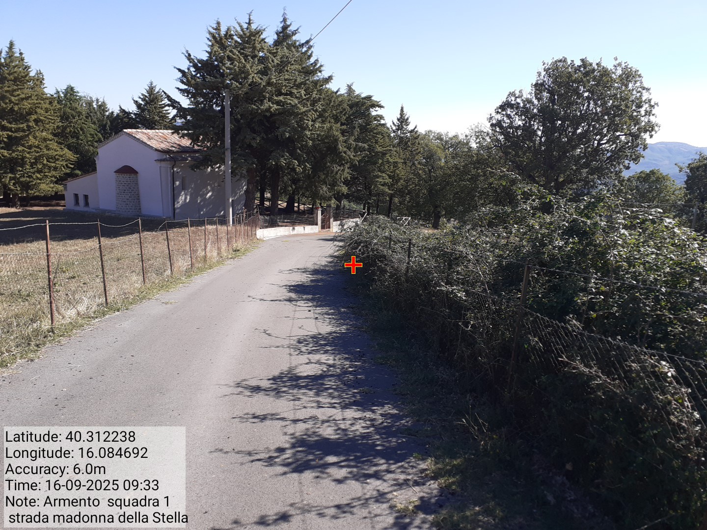 Galleria Fotografica Immagine