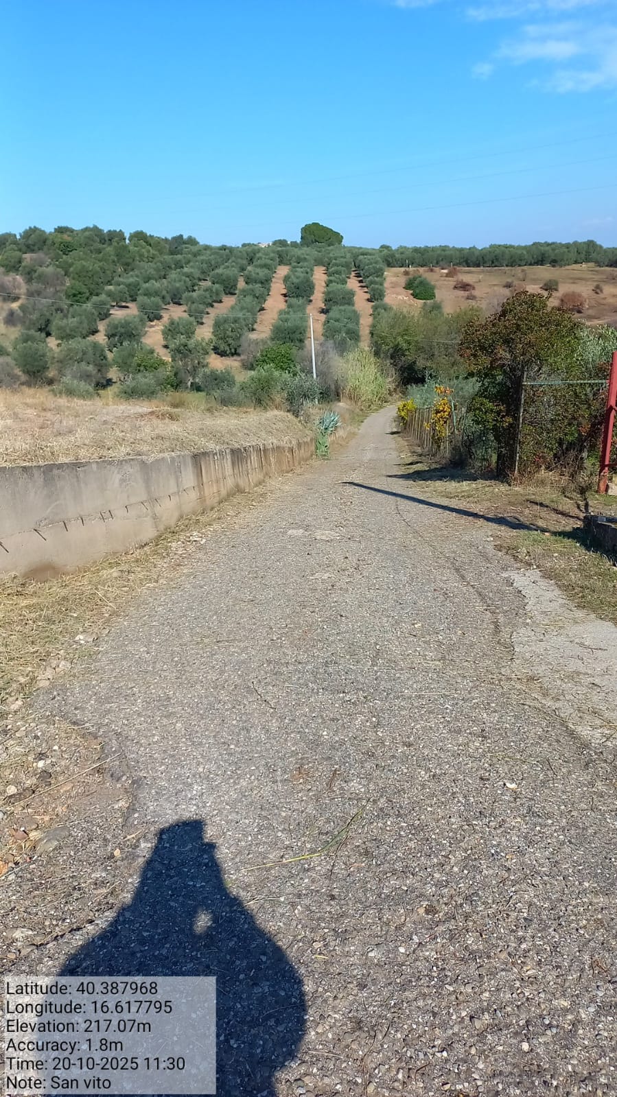 Galleria Fotografica Immagine