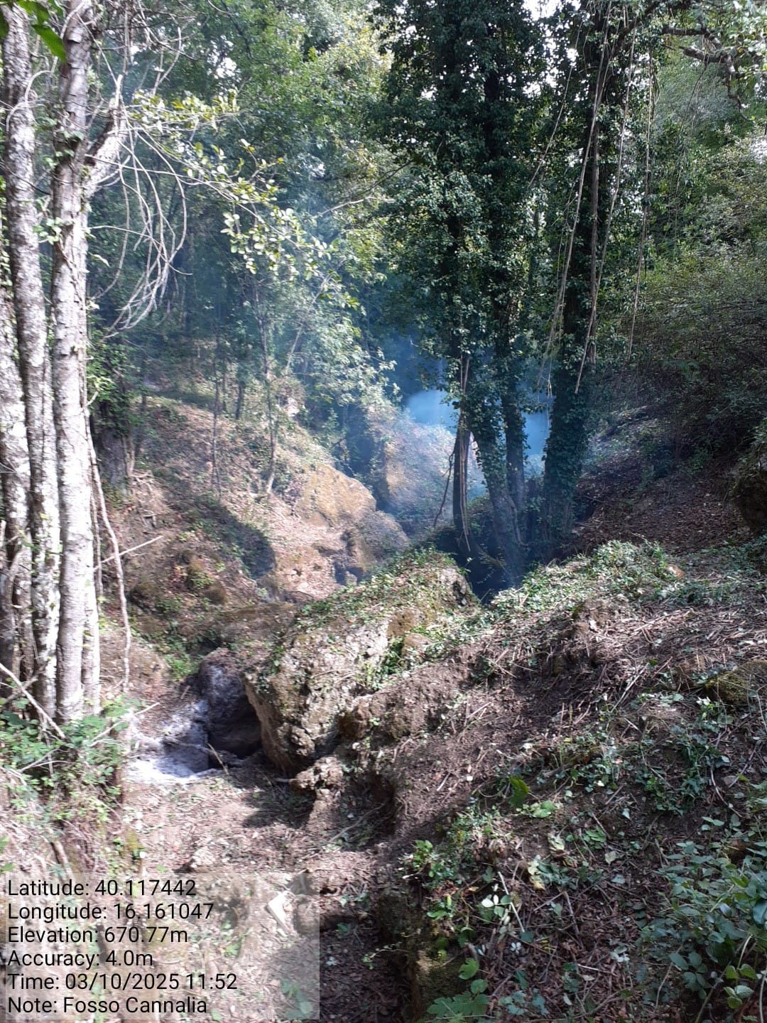 Galleria Fotografica Immagine