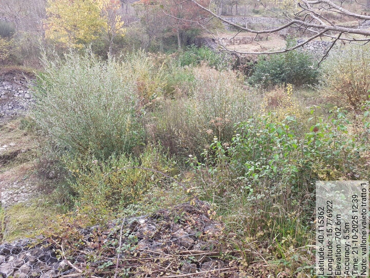 Galleria Fotografica Immagine