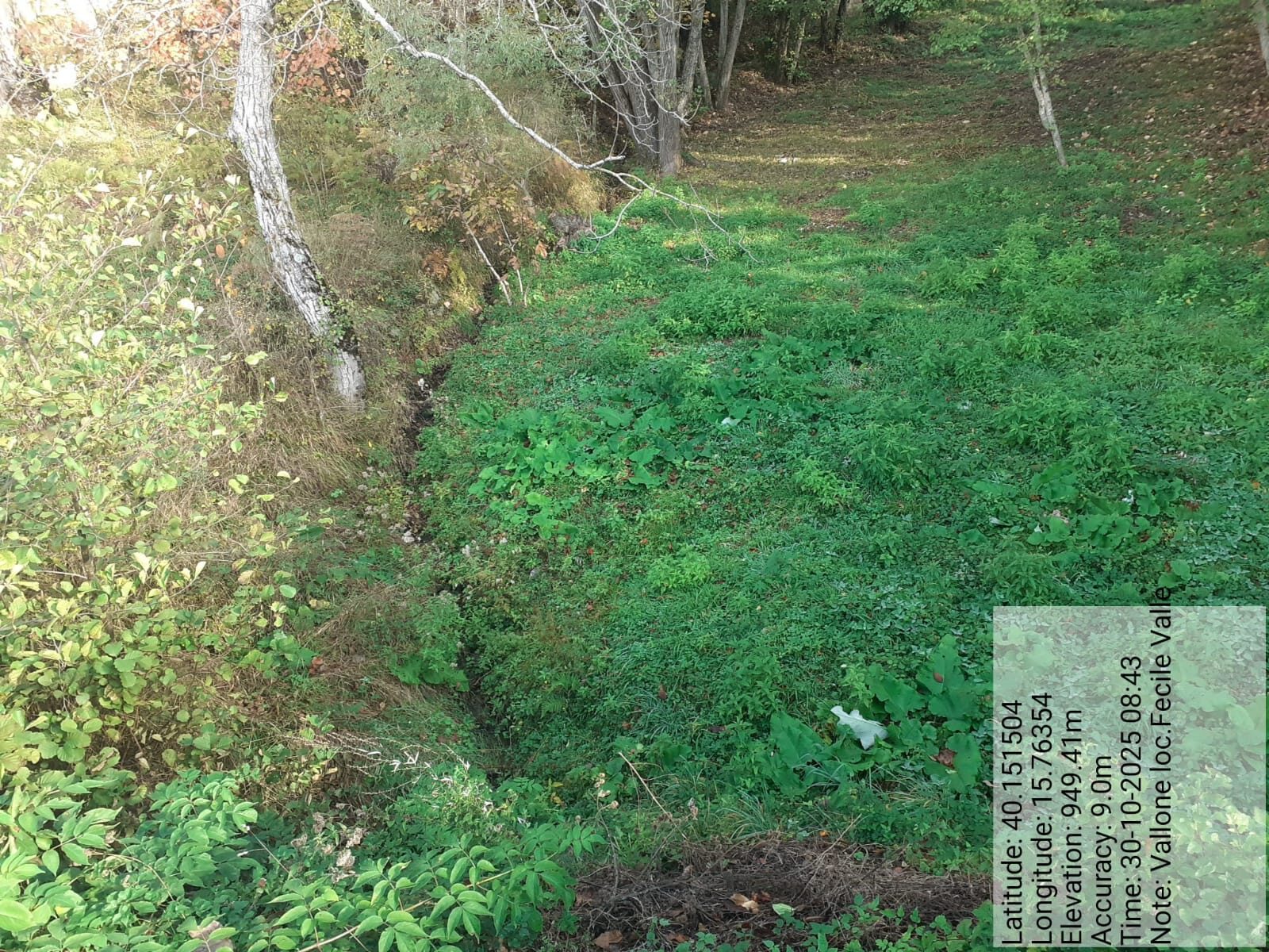 Galleria Fotografica Immagine