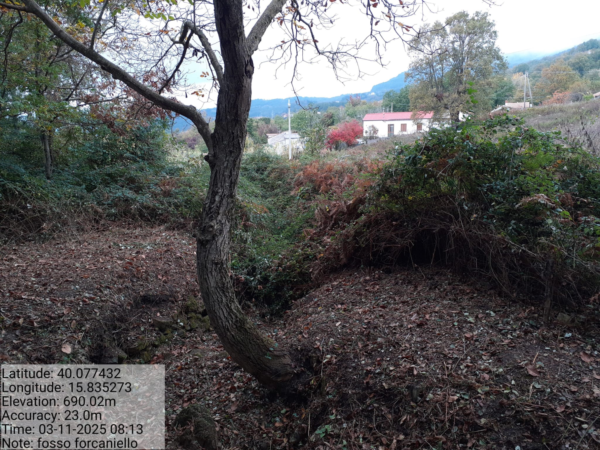 Galleria Fotografica Immagine