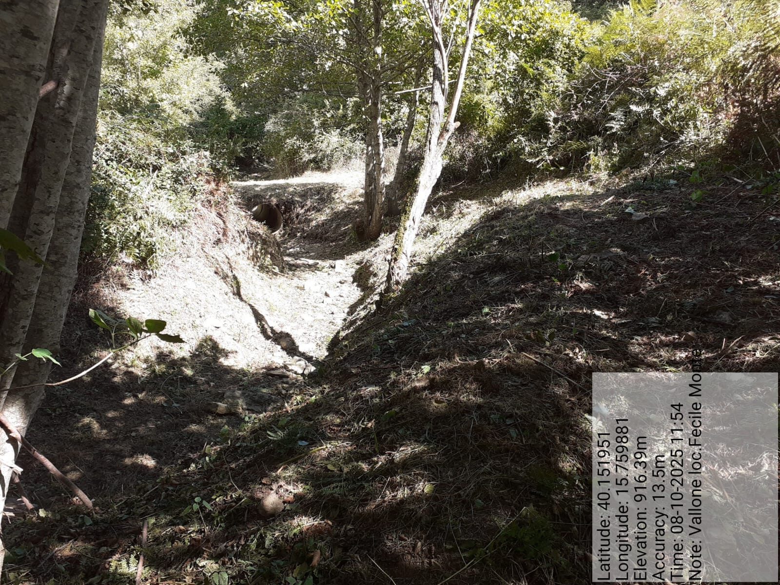 Galleria Fotografica Immagine