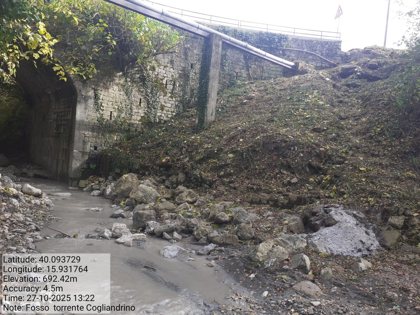 Galleria Fotografica Immagine