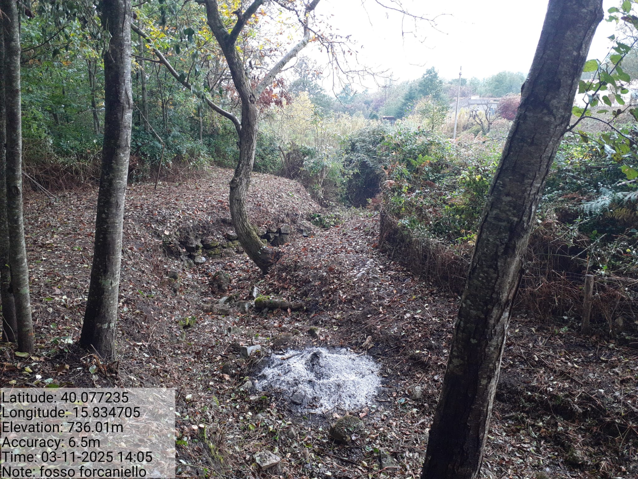 Galleria Fotografica Immagine