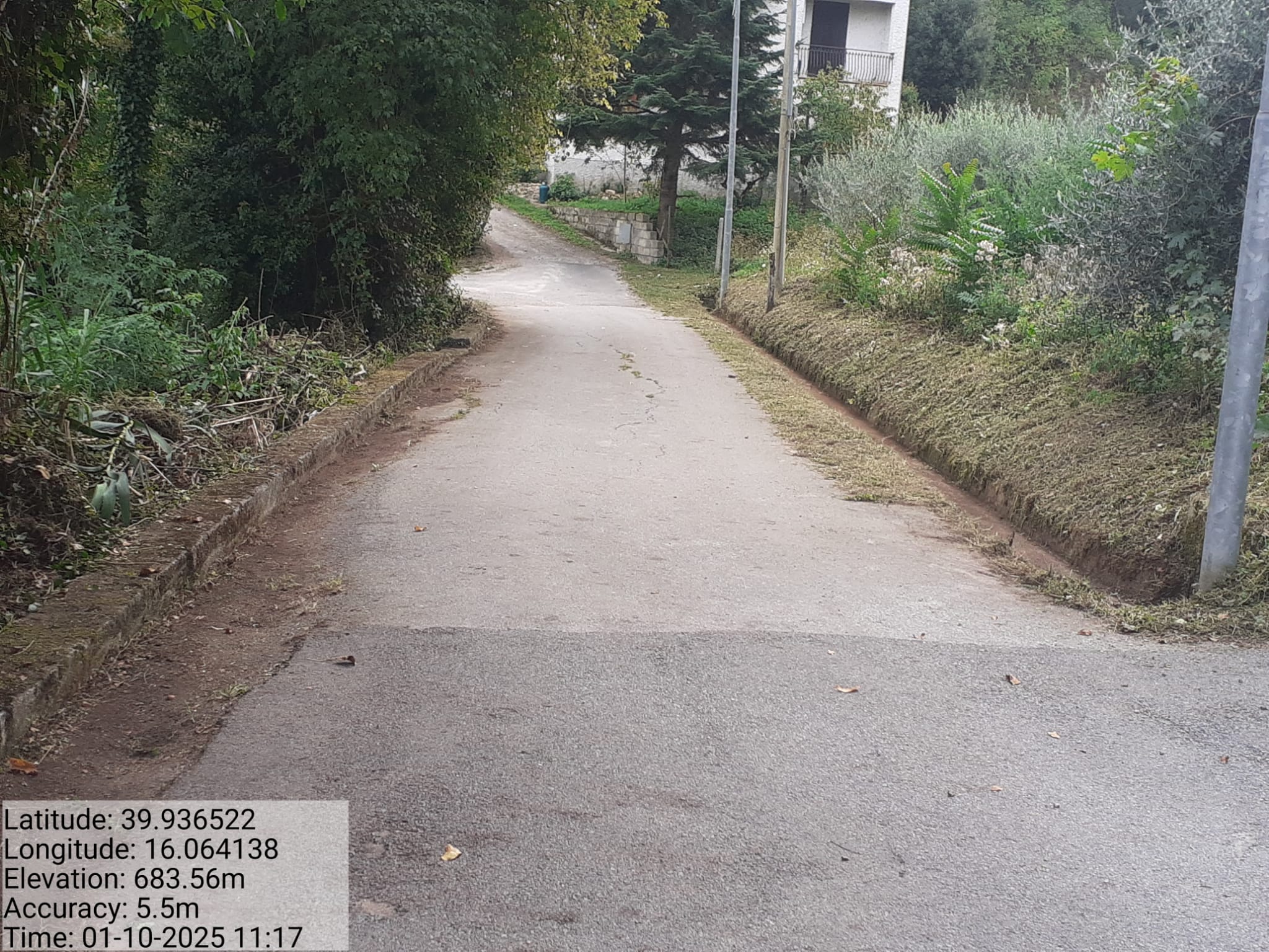 Galleria Fotografica Immagine